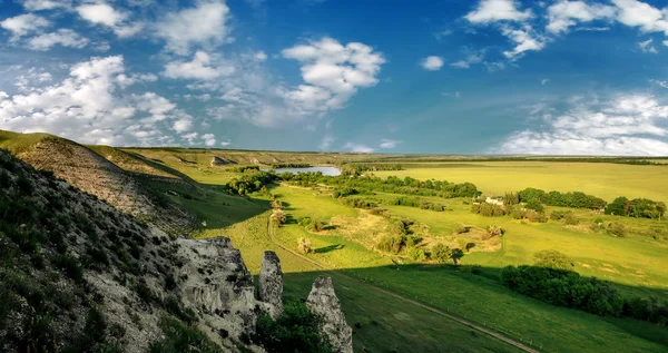 Paisaje de verano con tiza montaña, flores y cielo nublado, na — Foto de Stock