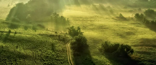 Сельский пейзаж ранним туманным утром, природный фон — стоковое фото