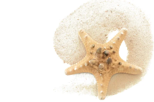 Seastar na písku closeup a izolované místo pro váš text, n — Stock fotografie