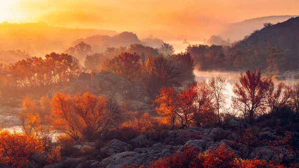 Vista Aérea Incrível Nascer Sol Rio Nebuloso Árvores Douradas Bela — Fotografia de Stock