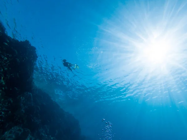 Freediver Mélykék Vízbe Merül — Stock Fotó