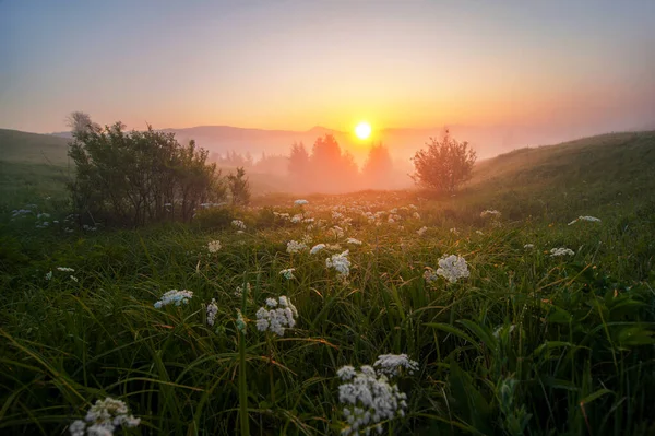 Prachtig Uitzicht Met Hoog Bergdorp Aan Horizon Blauwe Bewolkte Lucht — Stockfoto