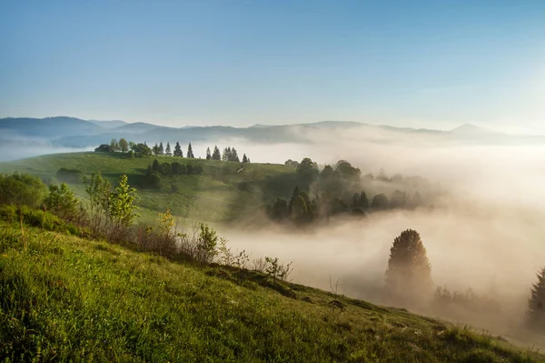 Amazing View High Mountain Village Horizon Fog Summer Landscape Beautiful — Stock Photo, Image