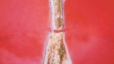 Sakin, harika pembe göl manzarası. İHA atışı. Kuş gözü.