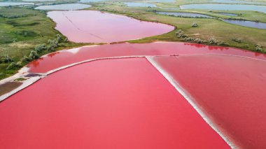 Sakin, harika pembe göl manzarası. İHA atışı. Kuş gözü.