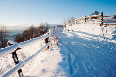 Kış manzarası ve ufukta dağlar. Karla kaplı köknar ağaçları. Güzel kış manzarası. Karpat Dağları. Ukrayna