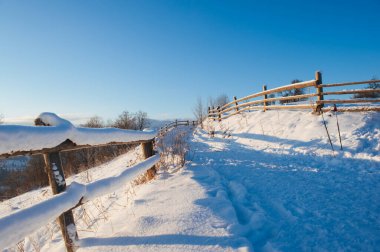 Kış manzarası ve ufukta dağlar. Karla kaplı köknar ağaçları. Güzel kış manzarası. Karpat Dağları. Ukrayna