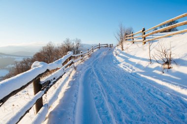 Kış manzarası ve ufukta dağlar. Karla kaplı köknar ağaçları. Güzel kış manzarası. Karpat Dağları. Ukrayna
