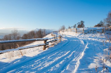 Kış manzarası ve ufukta dağlar. Karla kaplı köknar ağaçları. Güzel kış manzarası. Karpat Dağları. Ukrayna