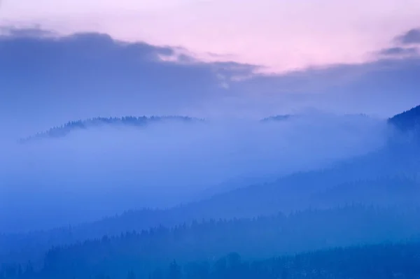 Paesaggio Invernale Con Montagne All Orizzonte Abeti Coperti Neve Bellissimo — Foto Stock