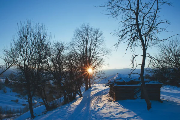 Paisaje Invierno Con Montañas Horizonte Abetos Cubiertos Nieve Hermoso Paisaje —  Fotos de Stock