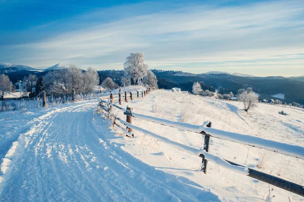 Paesaggio Invernale Con Montagne All Orizzonte Abeti Coperti Neve Bellissimo — Foto Stock