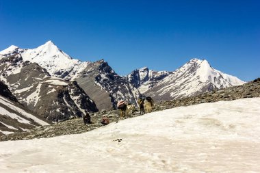 Zanskar, Hindistan - Temmuz 2012: Himalaya 'nın Zanskar çölünde yüksek rakımlı Shingo La geçidine uzanan yoğun kar üzerinde bir yürüyüş patikası.