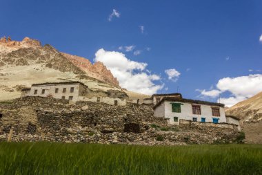 Zanskar, Hindistan - Temmuz 2012: Zanskar bölgesindeki Kargiak köyünde yeşil tarlalı beyaz sarayların geleneksel mimarisi.