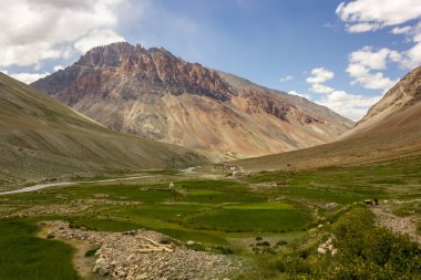 Ladakh, Hindistan Himalayaları 'ndaki Zanskar vadisinde yeşil tarlaların üzerindeki güzel dağ manzarası..