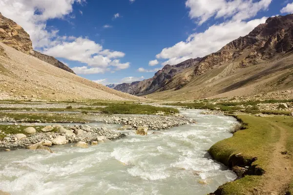 Zanskar nehri Himalayalar 'ın yüksek dağlarındaki çimenli çayırlar boyunca akar. Kuzey Hindistan' da Ladakh 'ta bir yürüyüş rotasında..