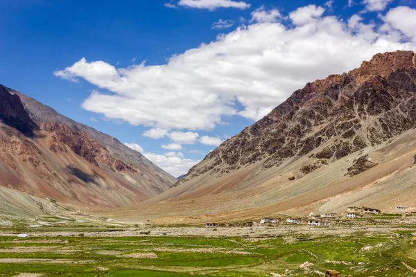 Campos Verdes Altas Montañas Aldea Kargiak Región Zanskar Ladakh Himalaya — Foto de Stock