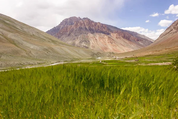 Hermoso Paisaje Montañas Sobre Campos Verdes Valle Zanskar Ladakh Himalaya — Foto de Stock