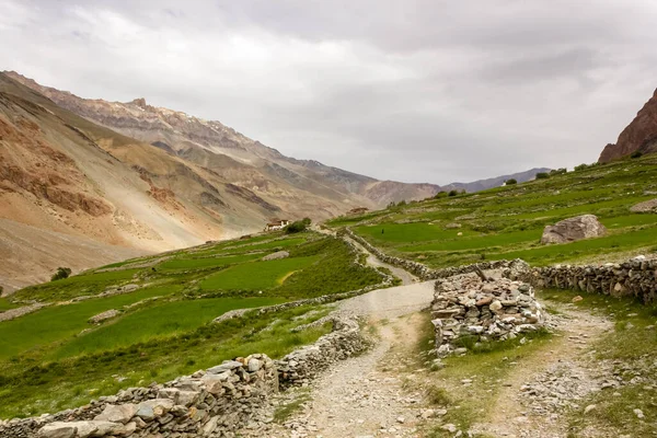 Green Fields Village Testa Surrounded Mountains Zanskar Valley Trail Darcha — Stockfoto
