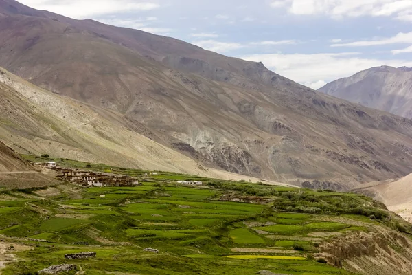 Testa köyünün yeşil tarlaları Zanskar vadisinde dağlarla çevrili. Hint Himalaya 'sında Darcha' dan Padum 'a kadar..
