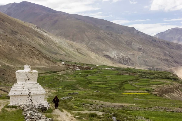 Zanskar, Hindistan - Ağustos 2012: Zanskar 'da yeşil tarlaları olan uzak Himalaya köyünün girişinde antik bir Tibet Budist korosu.