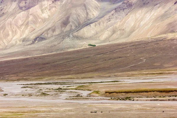 Zanskar Nehri 'nin destansı manzarası Hint Himalaya' sındaki Ladakh 'taki kurak dağların arasından akıyor..