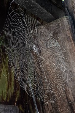 Yan açıda örümcek ağı görüntüsü - renkli yansımalı örümcek ağı