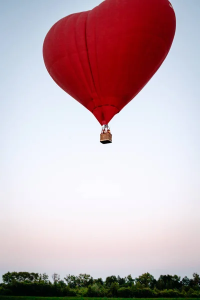 熱気球は緑の畑の上を飛ぶ 青空を背景に自然を構成する — ストック写真