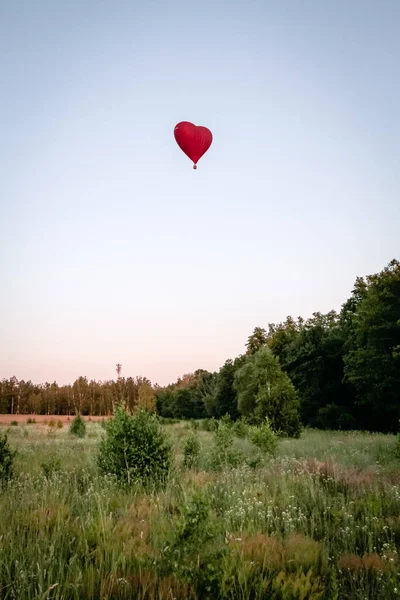 Bir Sıcak Hava Balonu Yeşil Bir Tarlanın Üzerinde Uçar Mavi — Stok fotoğraf