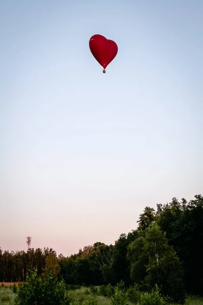 Une Montgolfière Survole Champ Vert Composition Nature Sur Fond Ciel — Photo