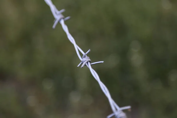 barbed wire, metal wire, spiked chain for fence for security and protection.