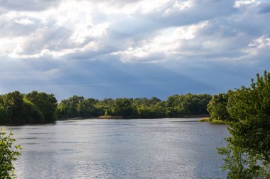 Dnepr Nehri. Orman, şehir parkı, Ukrayna, Kyiv 'deki Trukhaniv adasında doğa rezervi.