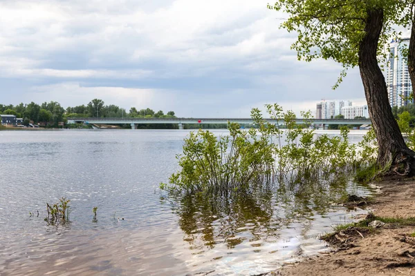 Dnepr River Forest City Park Nature Reserve Trukhaniv Island Kyiv — Stockfoto