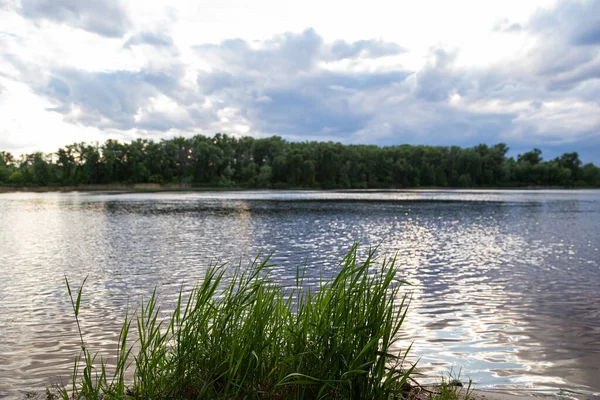 Dnepr Nehri. Orman, şehir parkı, Ukrayna, Kyiv 'deki Trukhaniv adasında doğa rezervi.