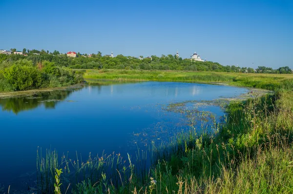 Russland. Flussufer-Tesa — Stockfoto