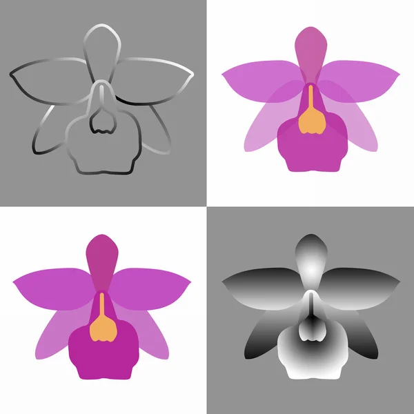 Roze orchideebloem vorm — Stockfoto