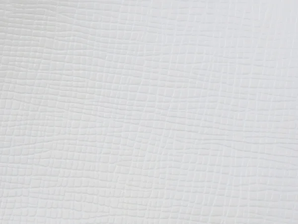 White leather texture background — Stock Photo, Image