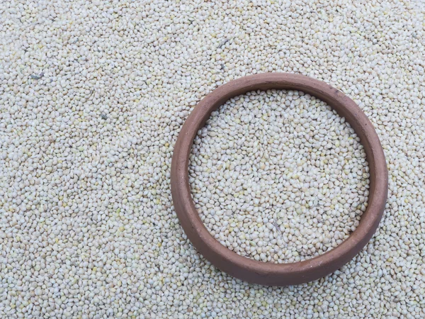 Bird food in pottery bowl.