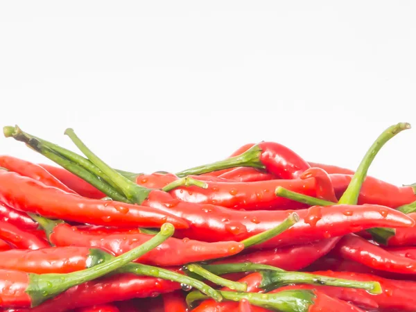 Červené chilli papričky — Stock fotografie