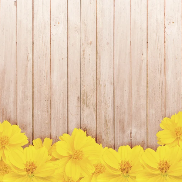 Zinnia Blume auf hölzerner Wand — Stockfoto