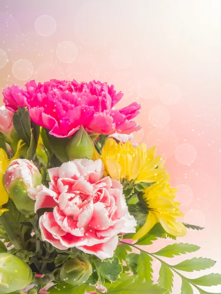 Ramo de flores de clavel —  Fotos de Stock