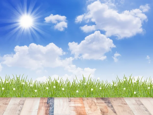 Green grass with blue sky — Stock Photo, Image