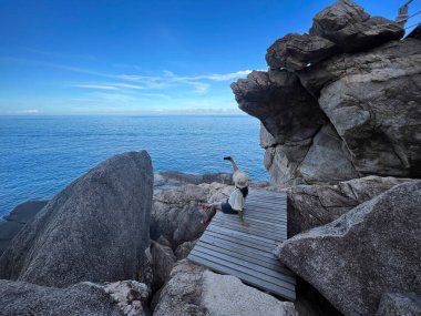 Asian tourist woman selfie by mobile phone at view point over blue sea background in Koh Tao island, Thailand.