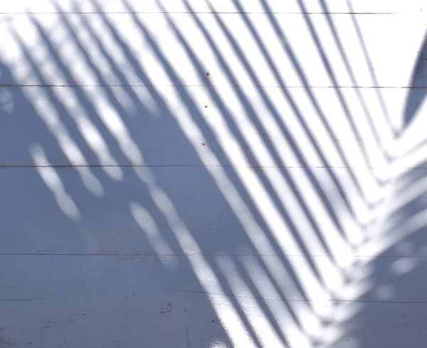 Close up shadow of palm leaves pattern on wooden table at summer beach.