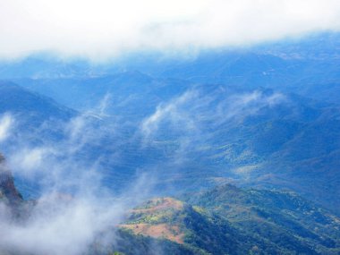 Dağın tepesinde yumuşak sisli hareket. Yeşil orman arka planında bulutlu.