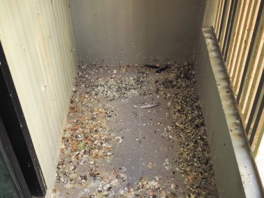 Kentteki apartman balkonunda güvercin pisliği..