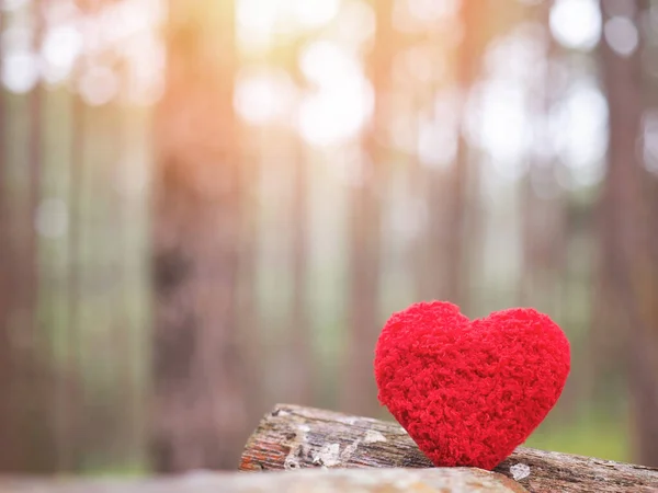 Kırmızı Kalp Bulanık Çam Ağaçlarının Arkasında Şekillenmiş Dünya Çevre Günü — Stok fotoğraf