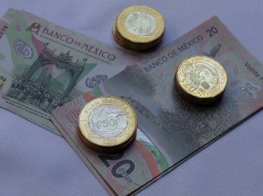 Meksika banknotları ve 20 pezoluk bozuk paralar.