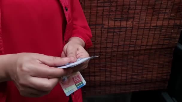 Manos Una Mujer Sosteniendo Contando Billetes Mexicanos — Vídeos de Stock