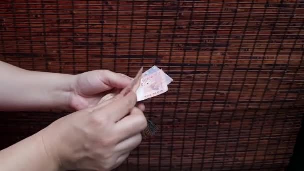 手握和计数巴西钞票的妇女的手 — 图库视频影像